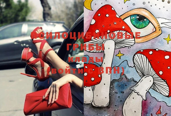 мяу мяу мука Коряжма