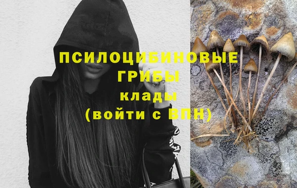 дживик Корсаков