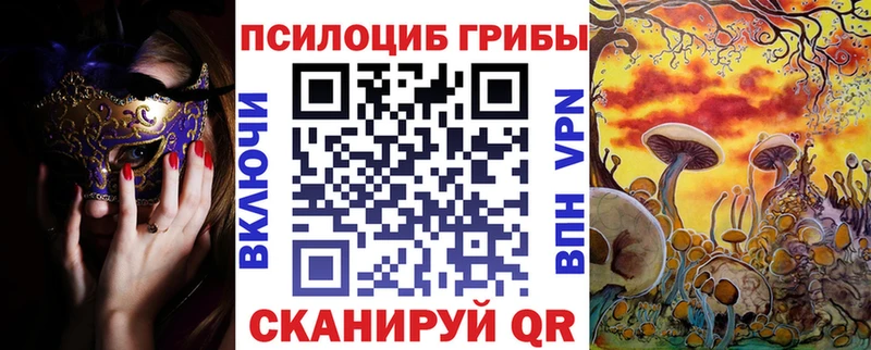 Купить закладки  Ковылкино  Галлюциногенные грибы Cubensis 